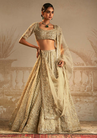 Ridhi Mehra-Chandni Silver Green Lehenga Set-INDIASPOPUP.COM