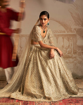 Ridhi Mehra-Chandni Silver Green Lehenga Set-INDIASPOPUP.COM