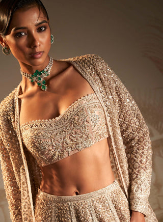 Ridhi Mehra-Gallaan Champagne Lehenga And Jacket Set-INDIASPOPUP.COM