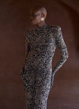 Serpentina black silver gown