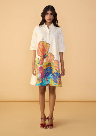 Vera ivory multicolor dress