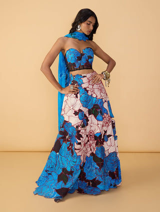 Starla corset blouse and lehenga set