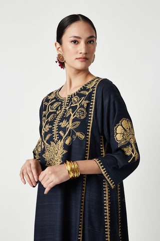 Payal Pratap-Navy Zora Embroidered Kurta Set-INDIASPOPUP.COM