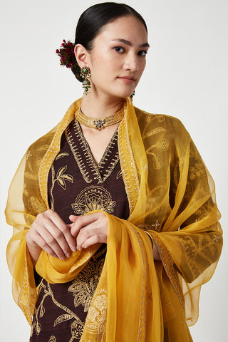 Payal Pratap-Brown Yellow Aabidah Embroidered Kurta Set-INDIASPOPUP.COM