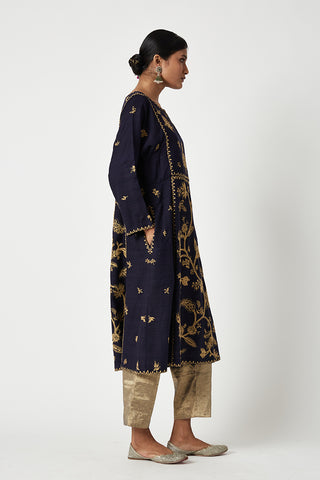 Payal Pratap-Navy Gold Layla Embroidered Kurta And Pants-INDIASPOPUP.COM