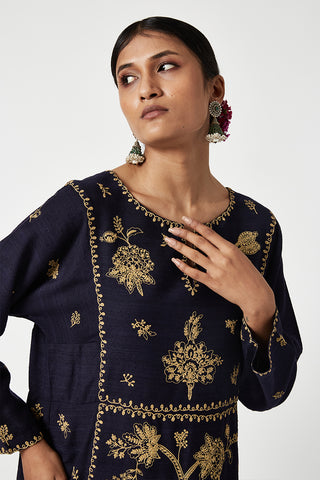 Payal Pratap-Navy Gold Layla Embroidered Kurta And Pants-INDIASPOPUP.COM