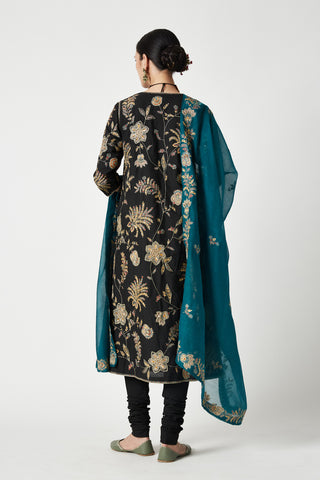 Payal Pratap-Black Naseem Embroidered Kurta Set-INDIASPOPUP.COM