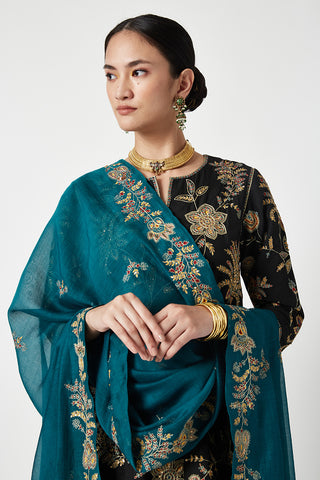 Payal Pratap-Black Naseem Embroidered Kurta Set-INDIASPOPUP.COM