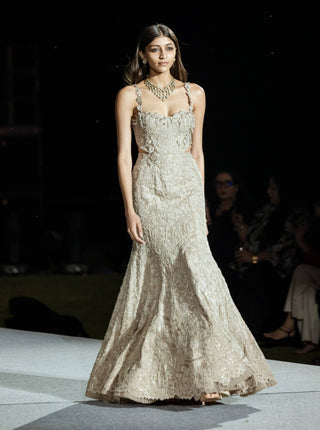 Champagne tonal cindie gown
