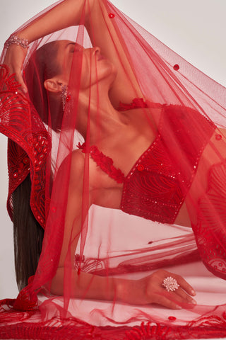 Mishru-Red Kai Lehenga Set-INDIASPOPUP.COM