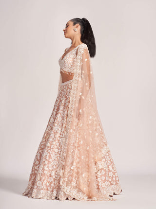 Pale blush embroidered lehenga set