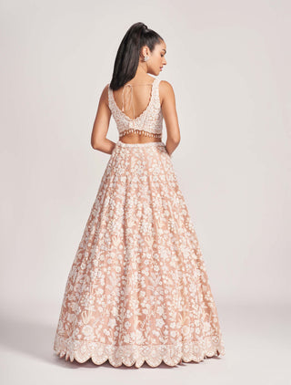 Pale blush embroidered lehenga set