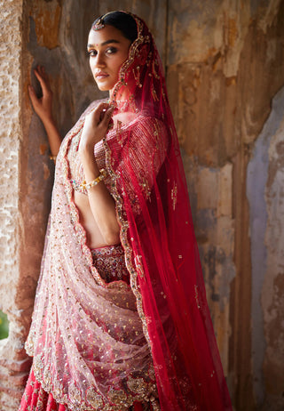 Dolly J-Eris Red Bridal Lehenga Set-INDIASPOPUP.COM