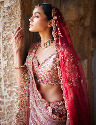 Dolly J-Eris Red Bridal Lehenga Set-INDIASPOPUP.COM