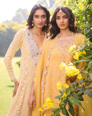 Alina Short Kurta And Sharara Set by Dolly J, available on Indiaspopup.com