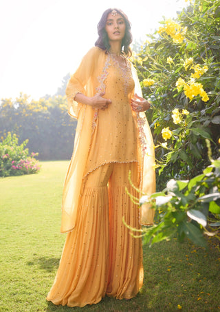 Alina Short Kurta And Sharara Set by Dolly J, available on Indiaspopup.com