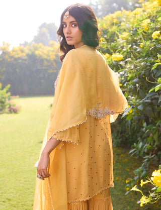 Alina Short Kurta And Sharara Set by Dolly J, available on Indiaspopup.com