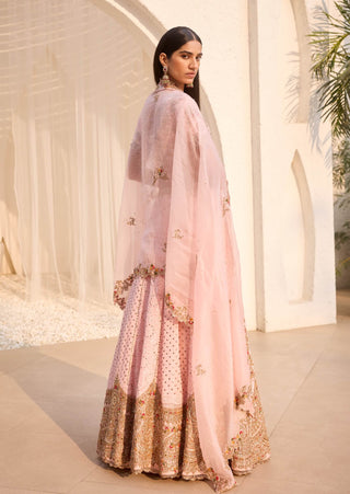 Dolly J Rosaline Pink Chikankari Lehenga Set available on indiaspopup