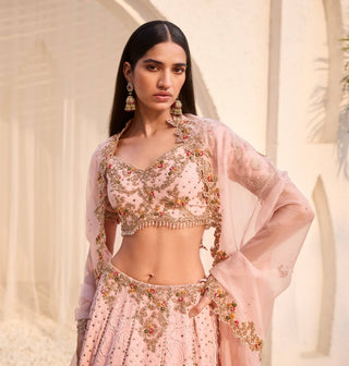 Dolly J Rosaline Pink Chikankari Lehenga Set available on indiaspopup