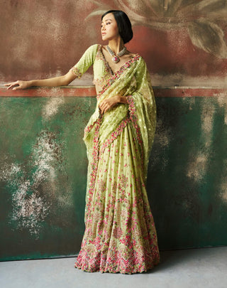 Pista green garden haze sari and blouse