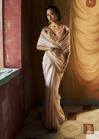 Ivory elara chikankari sari and blouse