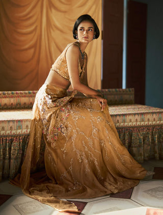 Champagne aureva drape sari and blouse