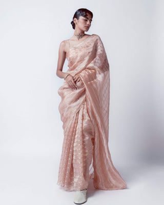 Peony Pink Tissue Sari With Unstitched Blouse by Ekaya available on Indiaspopup.com