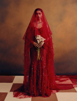 Rouge deep red ascend corset & skirt set