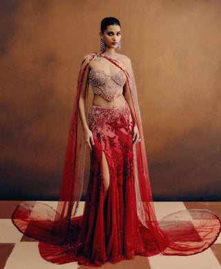 Rosarae blood red corset and skirt set