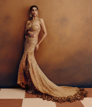 Auristra gold gown