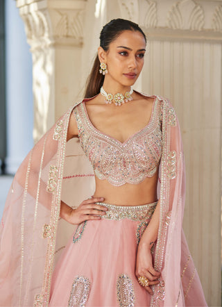 Osaa By Adarsh-Soft Berry Motif Embroidered Lehenga Set-INDIASPOPUP.COM