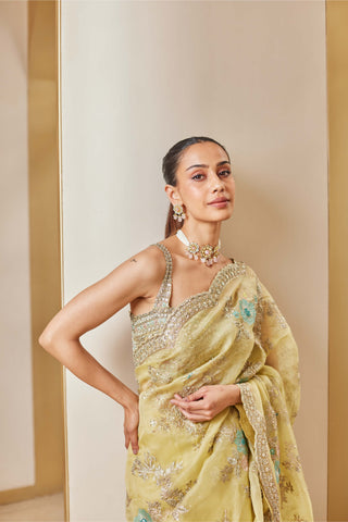 Osaa By Adarsh-Taupe Lemon Embroidered Sari And Blouse-INDIASPOPUP.COM
