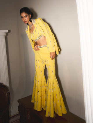 Eloise Pineapple Yellow Jacket And Sharara Set by Mani Bhatia available on Indiaspopup.com