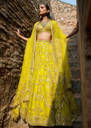 Tamanna Punjabi Kapoor Lime Yellow Organza Lehenga Set available on indiaspopup