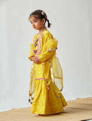 Itrh Kids-Yellow Kurta Sharara Set-INDIASPOPUP.COM