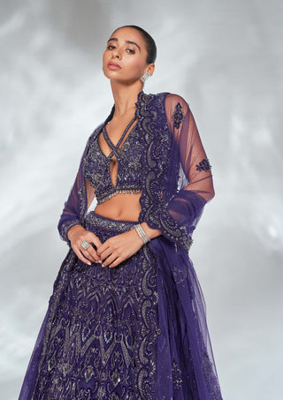 Nitika Gujral-Purple Net Embroidered Lehenga Set-INDIASPOPUP.COM