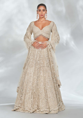 Ivory Tulle Lehenga Choli Set