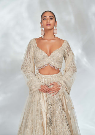 Ivory Tulle Lehenga Choli Set