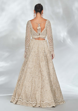 Ivory Tulle Lehenga Choli Set