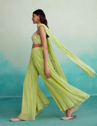 The Right Cut-Zing Lime Sharara Set-INDIASPOPUP.COM