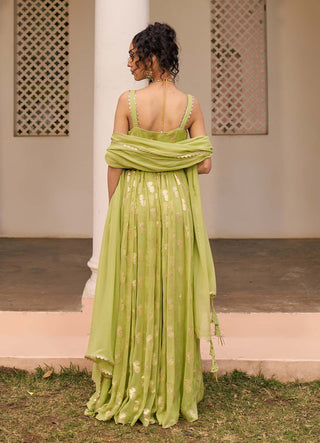 Chhavvi Aggarwal-Green Banarasi Anarkali And Dupatta-INDIASPOPUP.COM