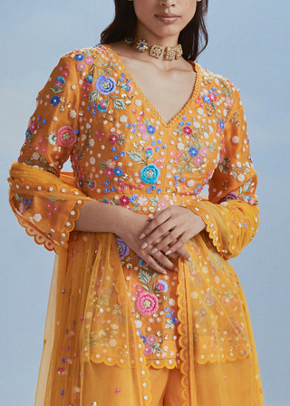 Nachiket Barve-Mango Mehtab Bagh Sharara Set-INDIASPOPUP.COM