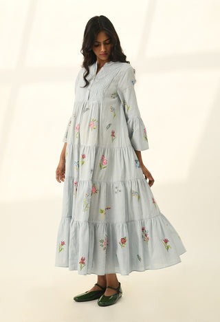 Corymbifera powder blue embroidered dress