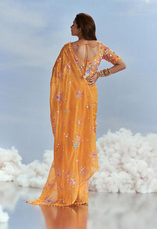 Nachiket Barve-Mango Izmir Organza Sari Set-INDIASPOPUP.COM