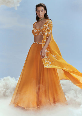 Nachiket Barve-Mango Babylon Cape Lehenga Set-INDIASPOPUP.COM