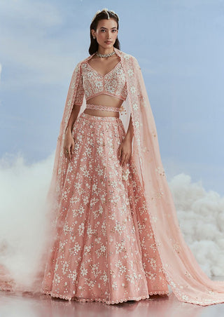 Nachiket Barve-Blush Babylon Kalidar Lehenga Set-INDIASPOPUP.COM