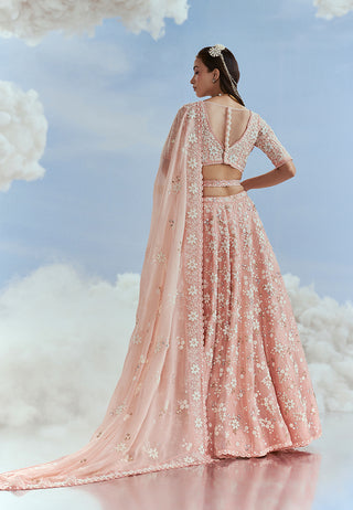 Nachiket Barve-Blush Babylon Kalidar Lehenga Set-INDIASPOPUP.COM