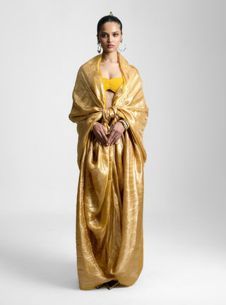 Ekaya Tropical Gold Tissue Sari available on indiaspopup