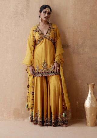 Aman Takyar-Mustard Floral Embroidery Kurta Sharara Set-INDIASPOPUP.COM