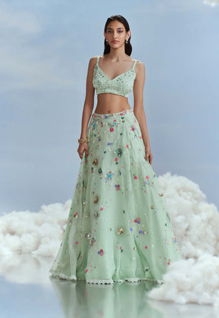 Nachiket Barve-Mint Lunar Blossom Lehenga And Cape Set-INDIASPOPUP.COM